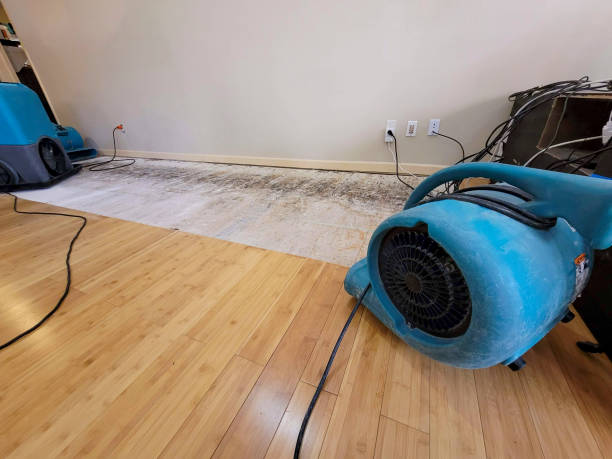 Professional Basement Flood Cleanup technician working in Verona, MS